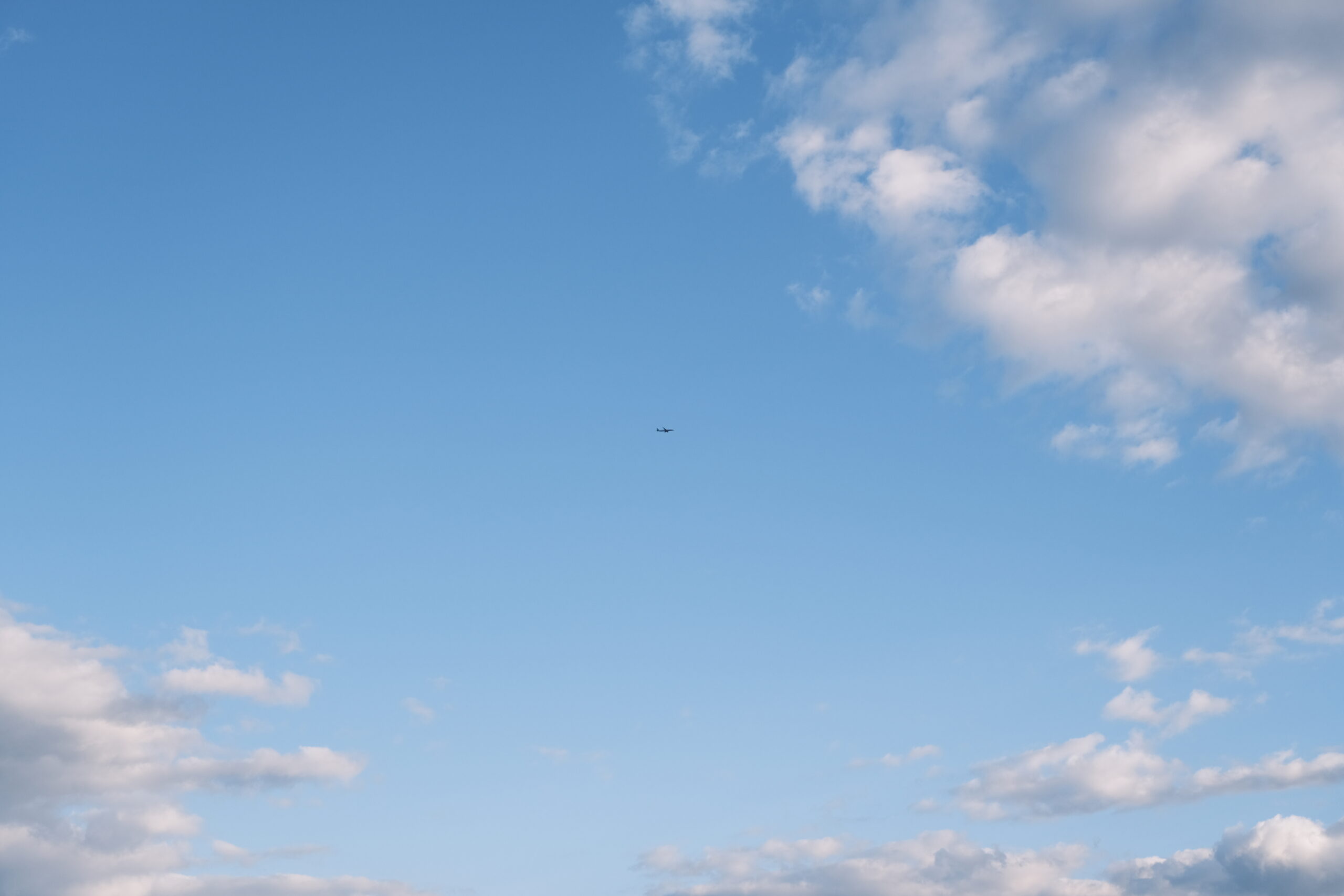 4毒抜き 嗅覚 変化 9ヶ月 記録