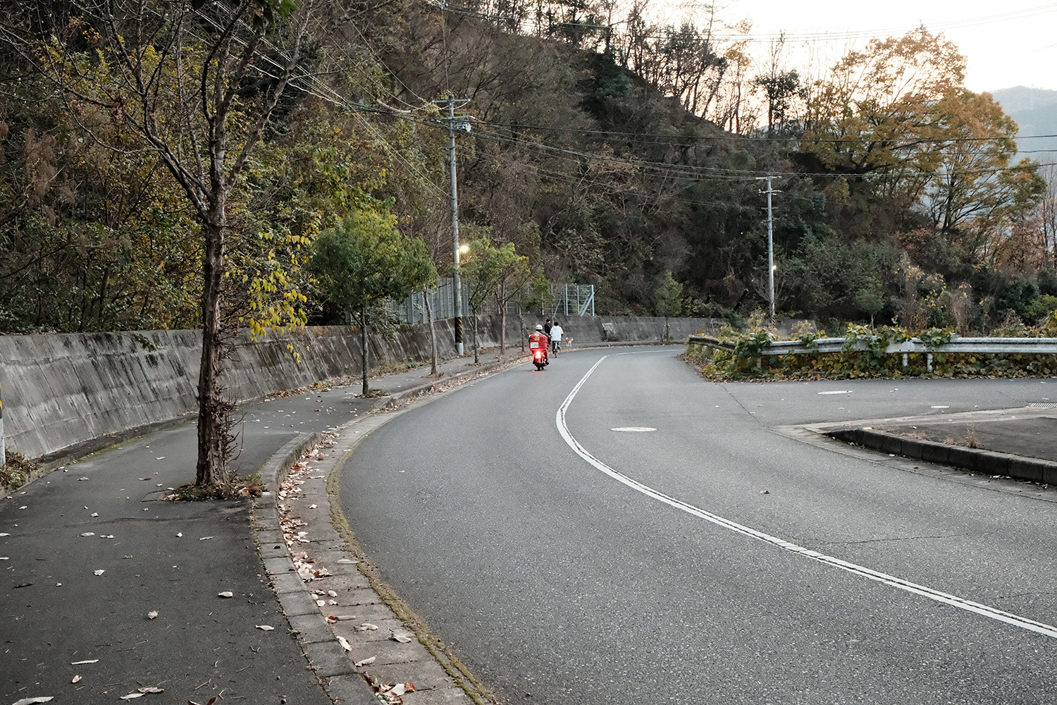 4毒抜き 毎日のウォーキングコース
