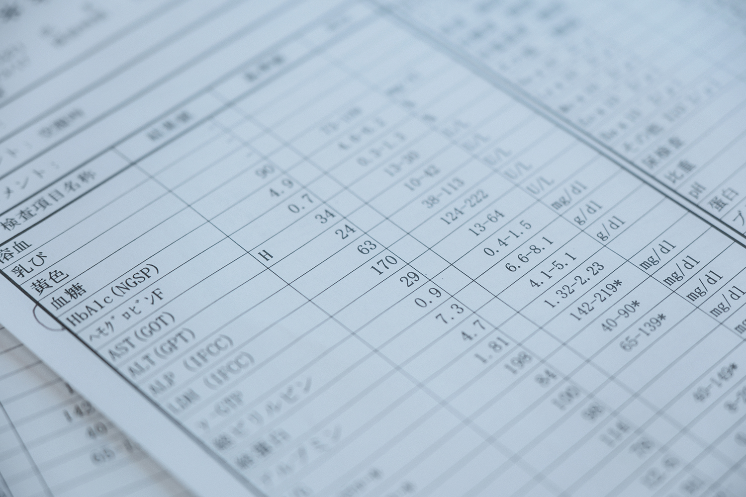 4毒抜き 健康診断 結果 2026