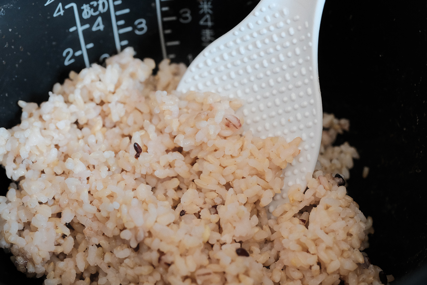 4毒抜き 玄米ごはん 家族 食卓