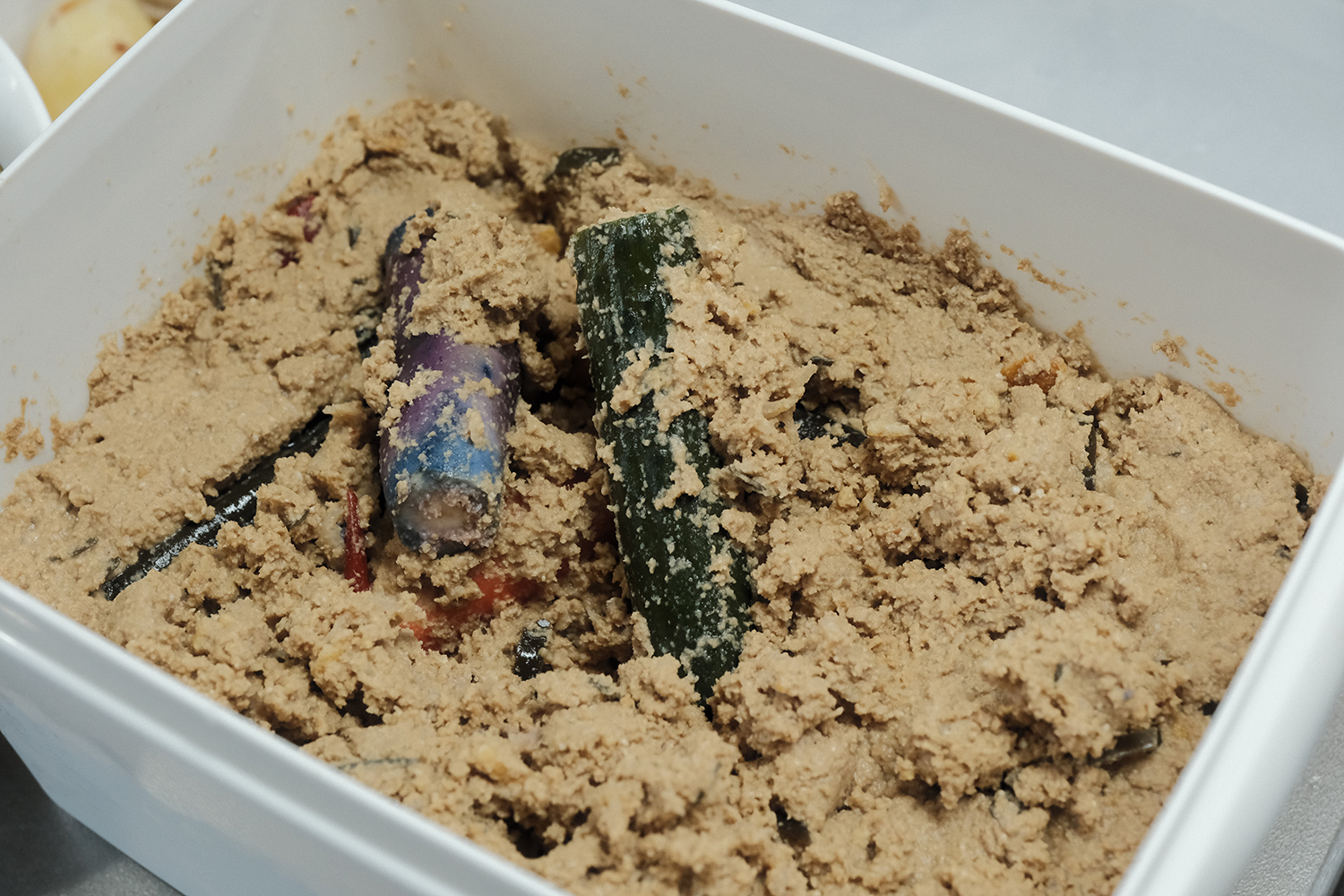 4毒抜き ぬか漬け容器 プラスチック 深めタイプ　野菜